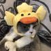 Cute Animal Headgear Hat for Cats & Dogs | Sweet Duck Costume with Wings - Perfect Pet Decoration - Buy Online on SooperMarket.com