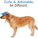 Pawaboo Adjustable Dog Baseball Cap XL Blue - Sun Protection Outdoor Sport Hat for Small Dogs with Ear Holes - Buy Online on SooperMarket.com
