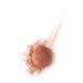 Bourjois Blush Santal - Long-lasting Radiant Cheek Color for All Skin Types | Shop Internationally - Buy Online on SooperMarket.com