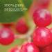 NOW Wintergreen Oil 1-Ounce (Pack of 2) - Pure Essential Oil Blend for Pain Relief - Buy Online on SooperMarket.com