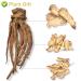 Buy Organic Angelica Root 70g - Dried Cut Root & Tea | Premium Archangelica Officinalis for Herbal Remedies - International Shipping - Buy Online on SooperMarket.com