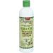 Africa's Best Organics Olive & Clove Oil Therapy Groth Lotion and Hair Mayonnaise (Set of 3) - Buy Online on SooperMarket.com