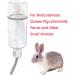 Semetall Hanging Water Feeder 350ml - Ideal for Birds, Hamsters, Guinea Pigs, Chinchillas & Small Animals - Buy Online on SooperMarket.com