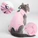 EASY JOY Cat Surgery Recovery Suit for Abdominal Wounds or Skin Diseases Cat Medical Surgical Clothes Onesies After Surgery E-Collar Alternative Kitten Post-Operative Recovery Vest Shirt (M Pink) M Pink1 - Buy Online on SooperMarket.com