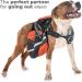 Edipets 5m Retractable Dog Leash - Flexible Extendable Leash for Dogs up to 20kg | Comfortable Walks with Inserable Design - Buy Online on SooperMarket.com