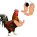 FUAMEY Muscle Chicken Arms Toys for Chickens to Wear, Funny Costume Fist Fighting Arms Toy for Pet Prank Themed Party, Artificial Arms Decorations Costume Cosplay for Chickens Rooster Hens Upgraded version