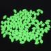 Hilai Bait Rigs - Glow in the Dark Fishing Beads | Luminous Float Fishing Lures | International Shipping Available - Buy Online on SooperMarket.com
