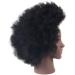 Adjustable Female Tailor Puppet Hairdresser Training Head - Black Mannequin for Cosmetics & Salon Displays - Buy Online on SooperMarket.com