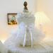 BT Bear Smally Dog & Cat Princess Tutu Dress - Lace Wedding Outfit for Small Pets - Size M Apricots - Buy Online on SooperMarket.com