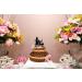 Funny Wedding Cake Topper - Bride Dragging Groom who is holding Repair Tools - Repairman Couple Cake Topper Mr&Mrs Wedding Cake Topper (Repairman Couple) - Buy Online on SooperMarket.com