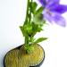 Wazakura Sun & Moon Ikebana Kenzan: Japanese Flower Holder - Made in Japan, Brass - 3-3/4x2-1/4 (93x59mm) - Buy Online on SooperMarket.com