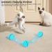 WWVVPET Interactive Cat Toy Ball with LED Light - 360 Self-Rotating USB Rechargeable | Fun Hunting Instinct Stimulation for Cats - Buy Online on SooperMarket.com
