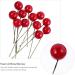 ABOOFAN 432 Pcs Diy Foam Red Fruit Berry Fall Berries for Crafts Red Berries Nativity Decor Faux Berries Branches Christmas Tree Filler Christmas Craft Wreath Pick Artificial Accessories - Buy Online on SooperMarket.com