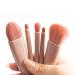 MJ JOMAY Mini Makeup Brush Set with Mirror - Professional Travel Set for Face, Eyebrow, Blush, and Lip Gloss - Pink - Buy Online on SooperMarket.com