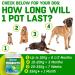 CANIVET Probiotics for Dogs. Canine Dietary Supplement - Aids Digestive Health 100g Powder Dog Probiotic. 5 Billion CFU** with 10 Strains of Good Bacteria for your Dog's Digestive Health. 100 g (Pack of 1) - Buy Online on SooperMarket.com