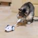 Kittio Robo Mouse: Interactive Cat Toy with Smart Steering Sensors - USB Charging - Buy Online on SooperMarket.com