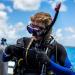 TUSA SP-0101 Hyperdry Elite II Diving Snorkel - Black/Fishtail Blue - Buy Online on SooperMarket.com