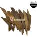 BettaLeaf Comfort Zone for Fish Indian Almond Leaves Slice in Pieces Leaf Ready to use 45 Grams Pack (80 100 Pieces) | Best Gold Brown Quality | Fish Tank for Betta Fish Shrimp Crayfish for Healthy - Buy Online on SooperMarket.com