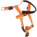 Dog Handlebars with Seat Belt - XL Orange Pet Halter for Safe Outdoor Walking | Prevent Pulling - Buy Online on SooperMarket.com