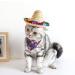 1 PCS Pet Straw Hat Funny Mini Mexican Hats Mexican Sombrero Cap Dog Sombrero Hat for Fiesta Carnival Mexican Theme Party Decorations Dogs Cats Party Favors - Buy Online on SooperMarket.com