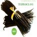 Premium Organic Vanilla Bourbon from Madagascar - 18 Pods (16-19 cm) - Buy Online on SooperMarket.com