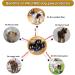 Buy VALFRID Anti-Slip Paw Protectors for Dogs - 24 Pieces Self-Adhesive Silicone Gel Non-Slip Dog Shoes & Socks for Small Dogs (S 3.3*3.9cm 0-5kg) - International Shipping Available - Buy Online on SooperMarket.com