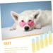 HAPINARY Pet Joy 10Pcs pet toothbrush chewable toothpaste on the go toothbrush single use Puppy Toothbrush - Buy Online on SooperMarket.com