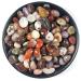 100g Natural Salt Source Agate Quartz Crystal Rock Specimen Suitable for Home HOMEZHOU