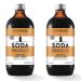 sodastream Soda Press Organic Ale Flavor Mix Ginger 16.9 Fl Oz