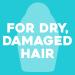 OGX Argan Oil of Morocco Extra Strength Conditioner 385ml - For Dry, Damaged Hair - Buy Online on SooperMarket.com