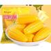 Corn Soft Candy Sweet Corn Flavor 17.7 oz(500 Gram) Chinese Candy Soft Candy Cream Corn Candy Chewing Milk Candy Leisure Snacks (53.1 oz(Pack of 3)) - Buy Online on SooperMarket.com