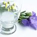 Wazakura Clear Ikebana Kenzan Japanese Flower Holder  Made in Japan  Plastic Floral Arranging Pin Frog  Round - 3(78mm) Clear - Buy Online on SooperMarket.com