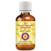 Deve Herbes Pure Roman Chamomile Essential Oil (Chamaemelum nobile) Steam Distilled 2ml (0.06 oz) Roman Chamomile 2ml (0.06 Ounce)