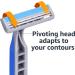 Amazon Basics Twin Blade Disposable Razors - 32 Count with Rubber Grip - Buy Online on SooperMarket.com