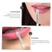 Didiseaon Lip Gloss Brush Set with Mini Cleaning Pad - Perfect for Flawless Application | International Shipping Available - Buy Online on SooperMarket.com