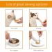 Catit Creamy Healthy & Hydrating natural grain free lickable squeezy Cat Treat sticks 80 x 10g (20ea chicken tuna salmon lamb) tubes in reusable gift jar Mixed - Buy Online on SooperMarket.com