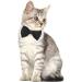Formal Pets Bowtie Dog Cat Pets Adjustable Bow Tie and Collar Cats Puppy Grooming Ties Party Accessories Adjustable Pets Dog Cat Bow Tie Pet Costume Necktie Collar for Medium Large Boy Dog L (Pack of 1) - Buy Online on SooperMarket.com