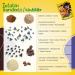 RAWBERRY Children's Cocoa Fruit Balls - No Added Sugar Gluten Free Vegan Snack (8 x 50 g) | Healthy International Shipping - Buy Online on SooperMarket.com
