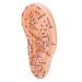 Buy Ear Massage Acupuncture Model | Safe PVC Material for Home Medicine | International Shipping - Buy Online on SooperMarket.com
