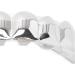 Hip Hop Teeth Halloween Hip Hop Teeth Convenient for Halloween Party for Hip Hop Fashion Shows(Silver) - Buy Online on SooperMarket.com