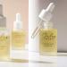 Julep Boost Your Radiance Facial Oil - Hydrating Moisturizing & Antioxidant with Rosehip Seed Oil - 1.06 Fl. Oz - Shop Internationally - Buy Online on SooperMarket.com