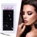 Fadlash Easy Fan Lashes DD Curl 0.07 13-16mm - Natural Look Russian Eyelashes Extensions - Buy Online on SooperMarket.com