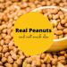 Vegan Mini Peanut Butter Bars Variety Pack - High Protein, Low Sugar, Low Calorie, Gluten Free - 3 Bags with 10 Individually Wrapped Pieces - Crunchy Plant Based Snack - 3 Pack - Buy Online on SooperMarket.com