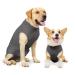 Heywean Hundebody after op castration wound protection suits for dogs professional pet recovery Suit Hund Medical Shirt Body Suit After the Operation Dog pet surgical suit for dogs XL (pack with 1) gray