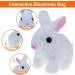 ZBATHTOY Interactive Rabbit Toy for 1-6 Year Old Boys and Girls | Birthday Gift for Toddlers | Educational Pet Toy for Kids Age 6M - Buy Online on SooperMarket.com