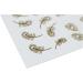 Lodokdre Gold Nail Stickers Nail Art Stickers for Lady - Buy Online on SooperMarket.com