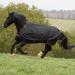 Kerbl Bucas IrishTurnout Horse Blanket Light 50g 155 SW/Gold black 155