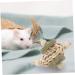 Kisangel Wooden Hamster Chewing Playthings Bunny Treats Oral Biting Playthings - Buy Online on SooperMarket.com