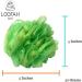 Buy 20 Large Elegant Zari 40g Golden Lace Bath Loofahs - Wholesale Bulk Assorted Colors | Premium Shower Accessories - Buy Online on SooperMarket.com
