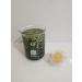Pink Fresh Lightening Cream & Blackish Green Balm Set for Dark Lip Removal - 2PC Treatment - Buy Online on SooperMarket.com